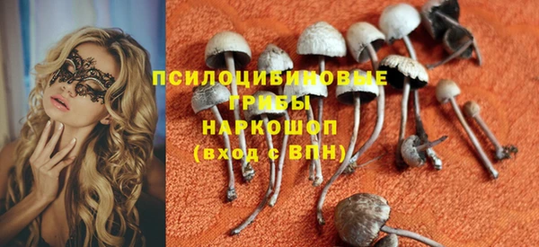 стаф Нягань