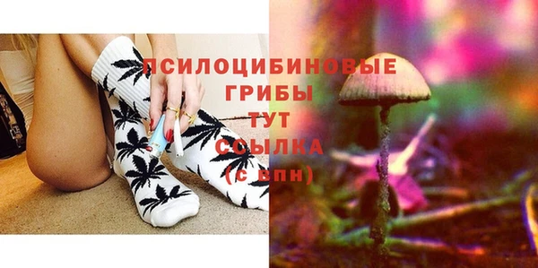 прущая мука Няндома