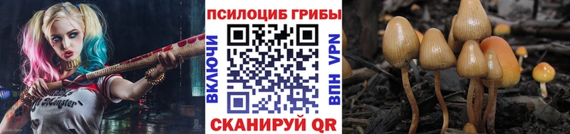 мега зеркало  цена наркотик  Тарко-Сале  Галлюциногенные грибы Cubensis 
