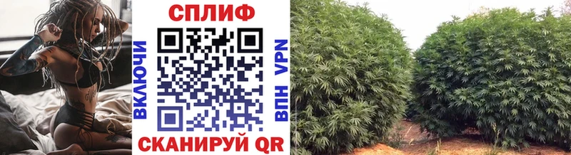 маркетплейс формула  Тарко-Сале  МАРИХУАНА OG Kush 
